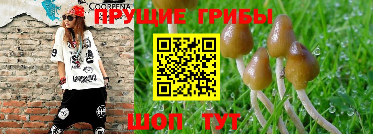 купить наркоту  Галлюциногенные грибы ЛСД  Вход с VPN  Тавда 